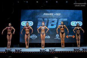 FIGURE +163